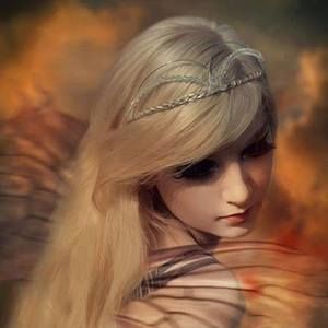 Meet your Posher, Sandy